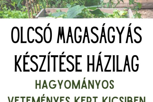 Olcsó magaságyás házilag: ez a titka Olcsó magaságyás ötletek házilag, hagyományos veteményes kert