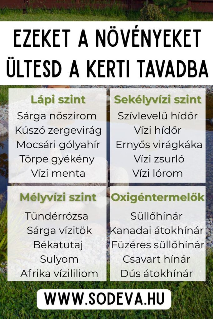 kerti tó ötletek